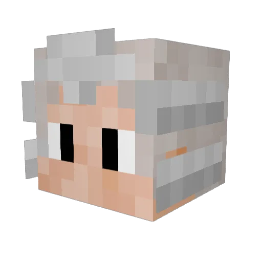 ImaPige0n Minecraft avatar head, 3D render