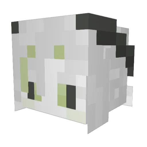 ImaSimpForYou Minecraft avatar head, 3D render