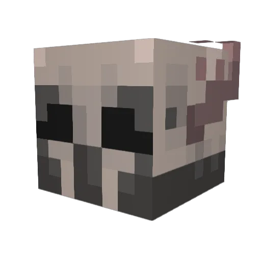 ImaTrashPanda Minecraft avatar head, 3D render