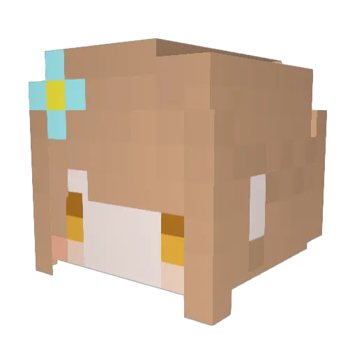 Imactuallyadog Minecraft avatar head, 3D render