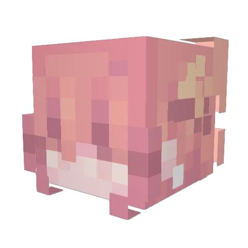 Imaginability88 Minecraft avatar head, 3D render