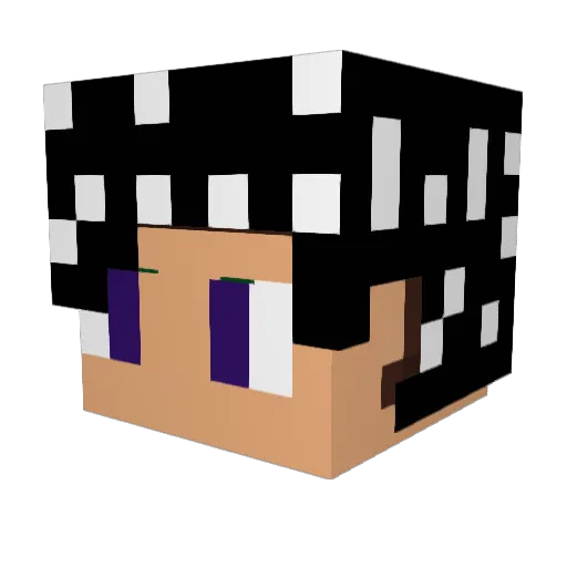 ImaginaryCat Minecraft avatar head, 3D render