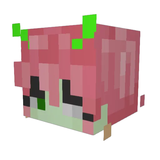 ImaginaryJoyPop Minecraft avatar head, 3D render