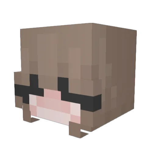Imagine23cm Minecraft avatar head, 3D render