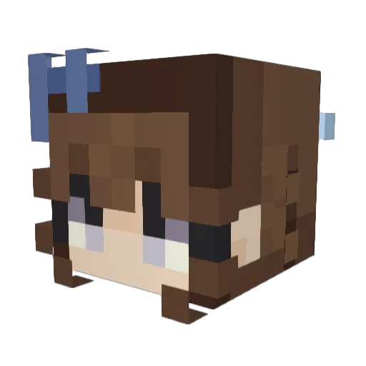 Imagine_dude_ok Minecraft avatar head, 3D render