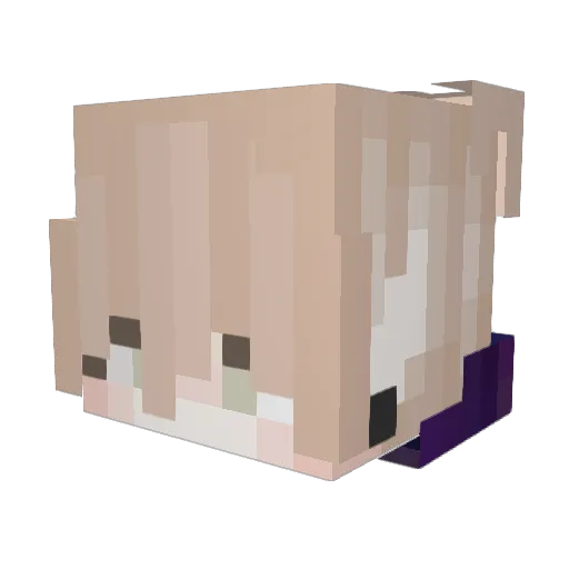 ImaginedAcorn67 Minecraft avatar head, 3D render
