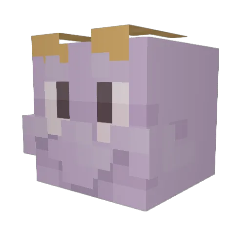 ImagineerSkyy Minecraft avatar head, 3D render