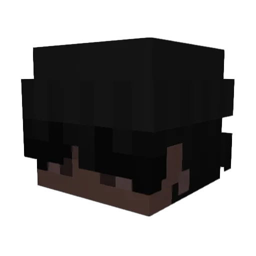 Imagnol Minecraft avatar head, 3D render