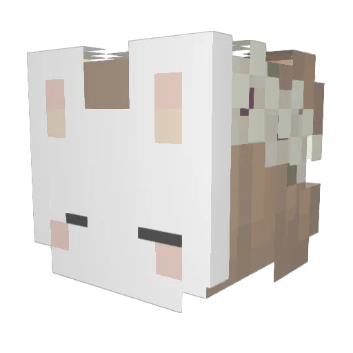 Imahotdog356 Minecraft avatar head, 3D render