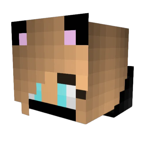 Iman_A13 Minecraft avatar head, 3D render
