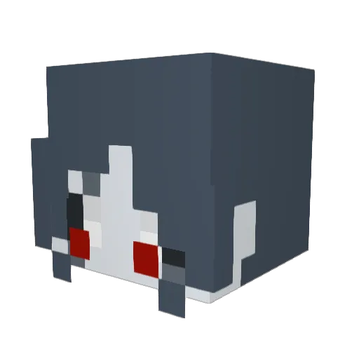 Imawoot Minecraft avatar head, 3D render
