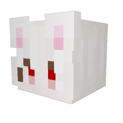Imbri Minecraft avatar head, 3D render