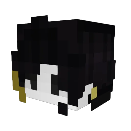 Imdrekaiser Minecraft avatar head, 3D render