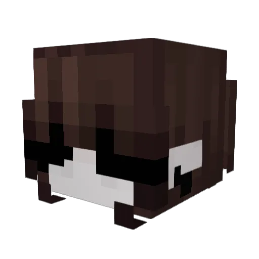 Imeveri Minecraft avatar head, 3D render