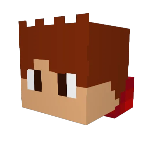 Imflam3 Minecraft avatar head, 3D render