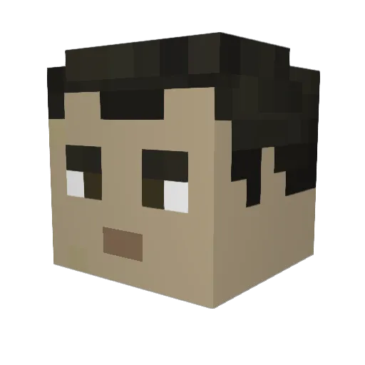 Imissher200 Minecraft avatar head, 3D render