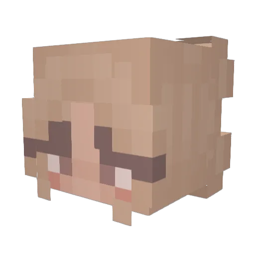 Imjustvibinxd Minecraft avatar head, 3D render