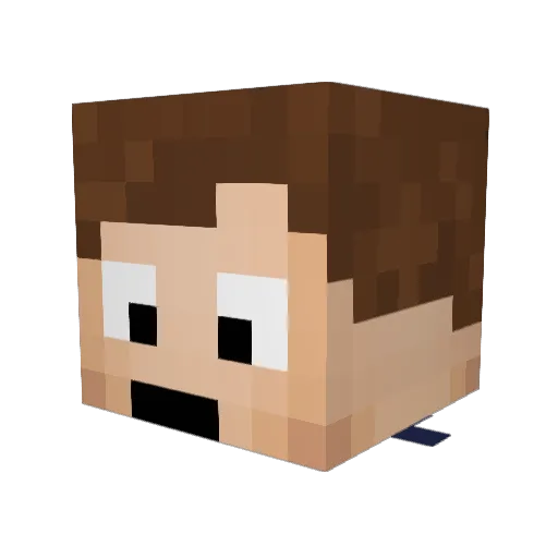 ImmerWiederSTD Minecraft avatar head, 3D render