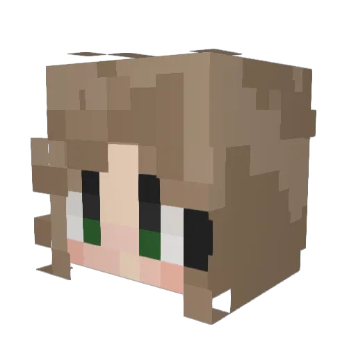 ImmicNeiche Minecraft avatar head, 3D render