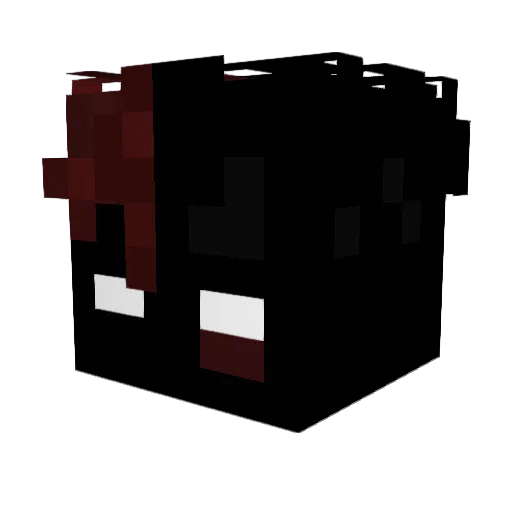 ImmigrantNR420 Minecraft avatar head, 3D render