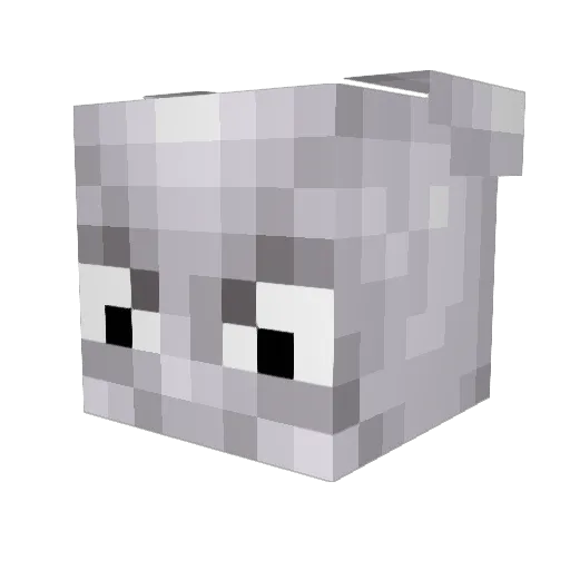 ImmortalMagi Minecraft avatar head, 3D render