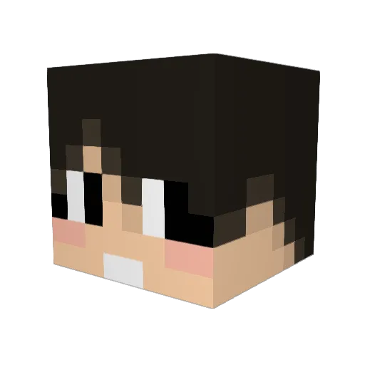 ImmortalSponge Minecraft avatar head, 3D render