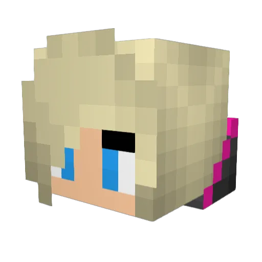 ImmortalWolf205 Minecraft avatar head, 3D render