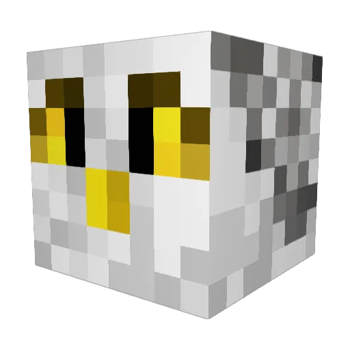 Immortal_Owl Minecraft avatar head, 3D render
