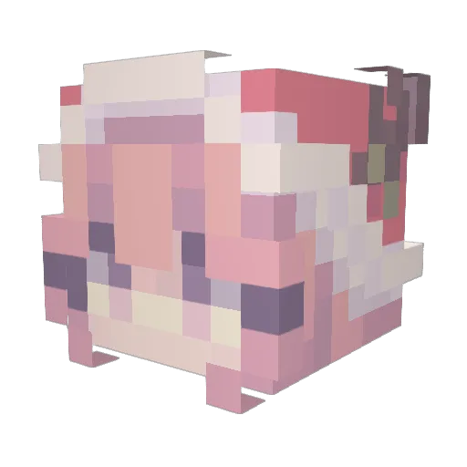 Immortal_Zeph Minecraft avatar head, 3D render