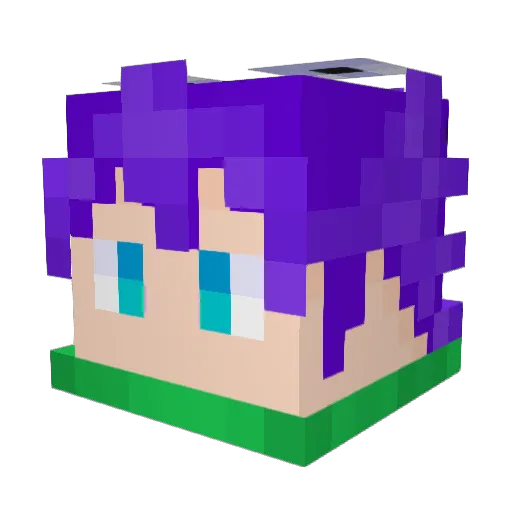 ImmunePanda Minecraft avatar head, 3D render
