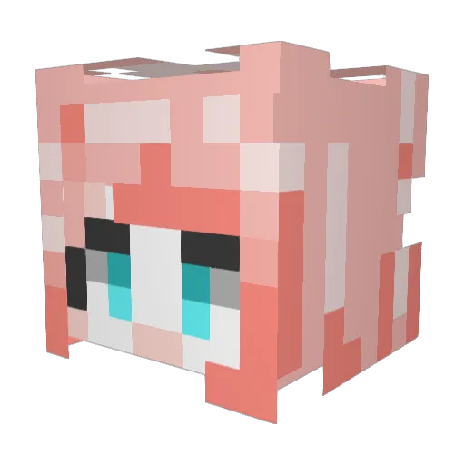 Immune__ Minecraft avatar head, 3D render