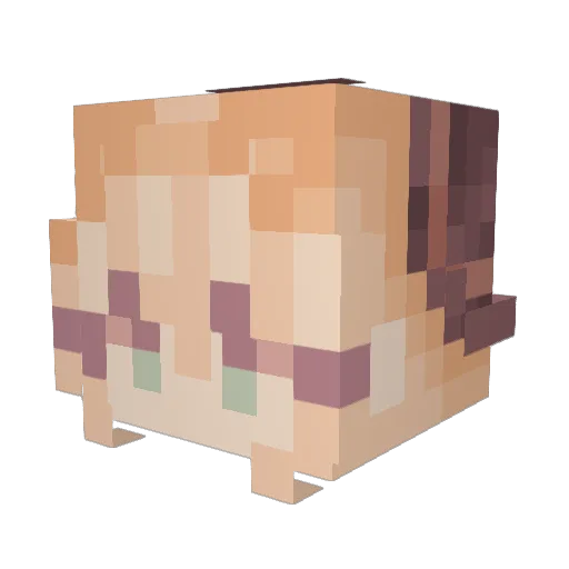Immunologic Minecraft avatar head, 3D render
