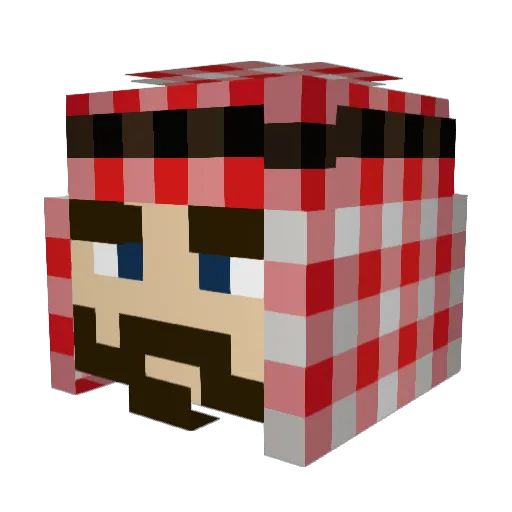 ImmyJimmy210 Minecraft avatar head, 3D render