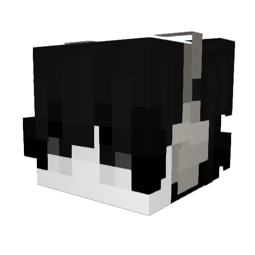 Imnot_Nex Minecraft avatar head, 3D render