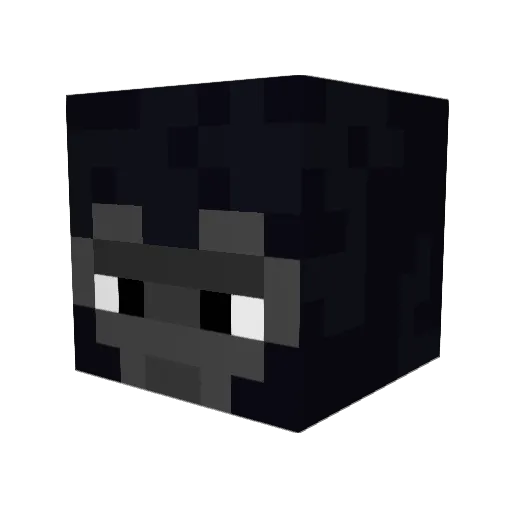 Imnotacoolperson Minecraft avatar head, 3D render
