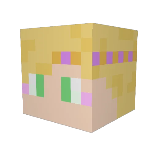 Imnotsmart351 Minecraft avatar head, 3D render