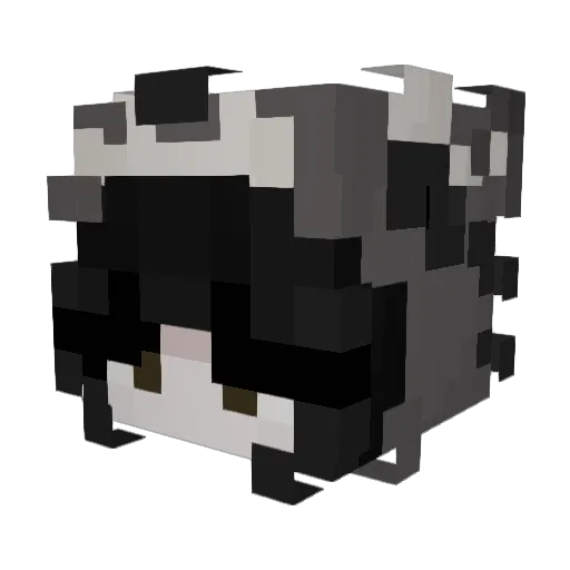 ImogensTired Minecraft avatar head, 3D render