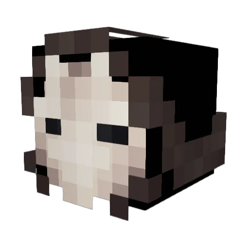 Imority Minecraft avatar head, 3D render
