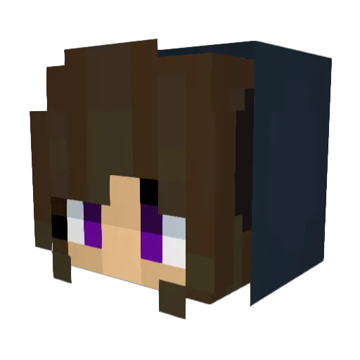 Impaje_ Minecraft avatar head, 3D render