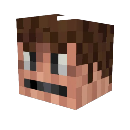 Impakt_91 Minecraft avatar head, 3D render