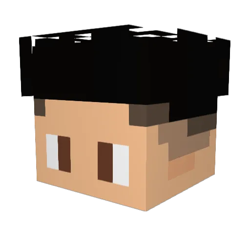 Impercebivel Minecraft avatar head, 3D render