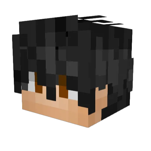 ImperialDrake1 Minecraft avatar head, 3D render