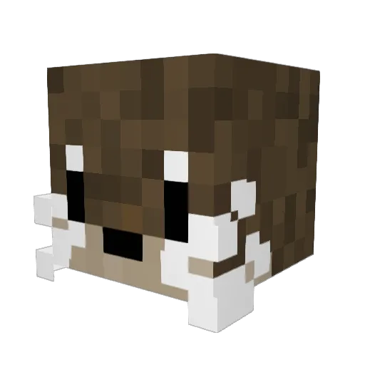 Impliedlex110 Minecraft avatar head, 3D render