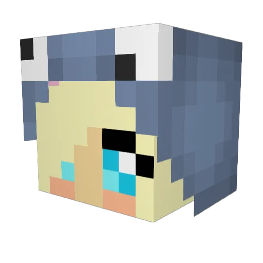 ImportedDerpina Minecraft avatar head, 3D render