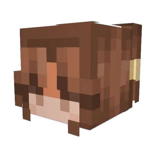 ImreDonut Minecraft avatar head, 3D render