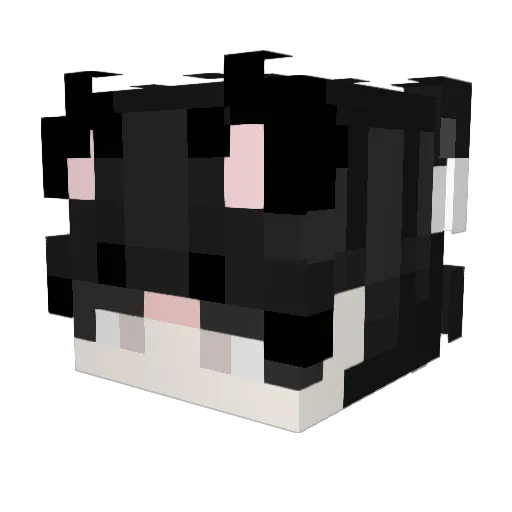 Imrich3868 Minecraft avatar head, 3D render