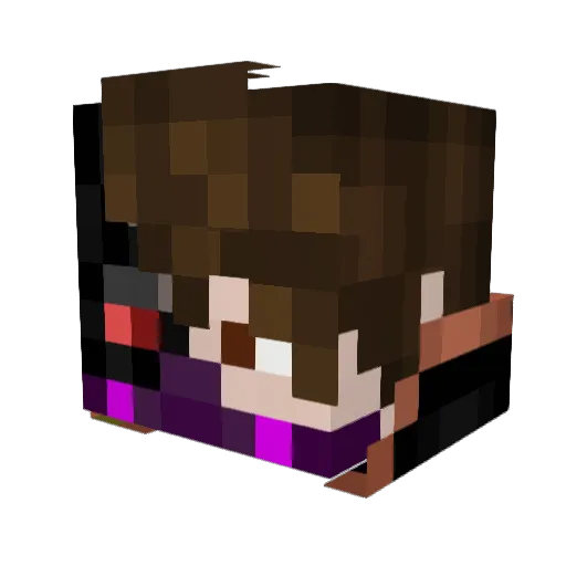 Imsorry2seeyougo Minecraft avatar head, 3D render