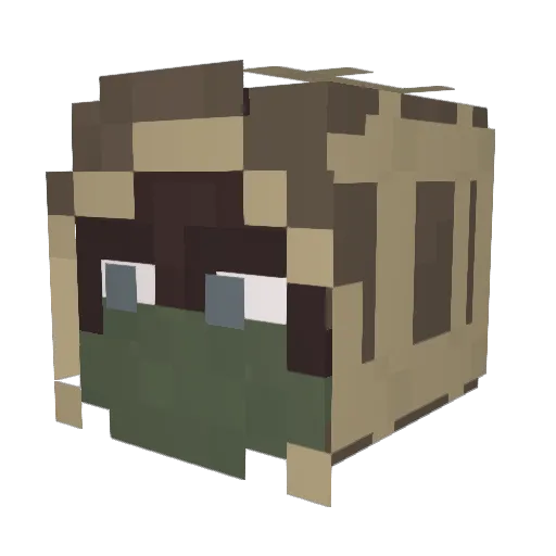 Imundissa Minecraft avatar head, 3D render