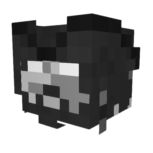 Imustgooo Minecraft avatar head, 3D render