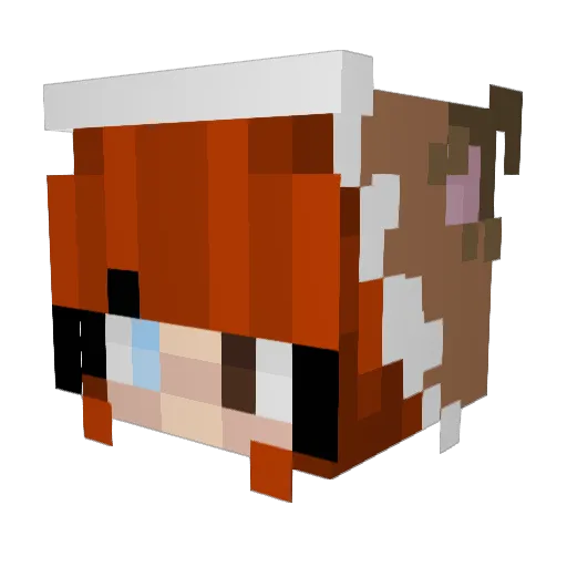 In0tCali Minecraft avatar head, 3D render